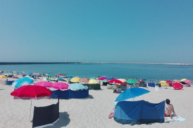 aveiro-costa-nova-beach-and-moliceiro-boat-half-day-from-coimbra