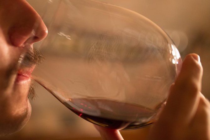 barolo-wine-and-food-tasting-at-piedmont-region-winery