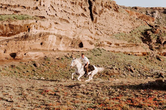beach-gallop-horse-riding-safari-for-experienced-riders