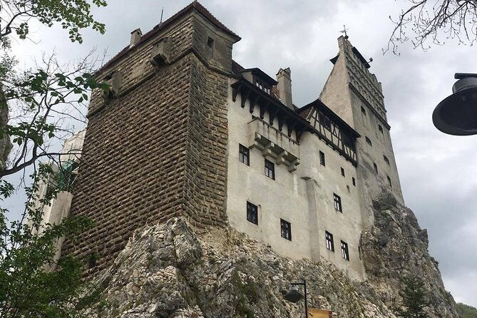 bear-sanctuary-and-bran-castle-from-brasov