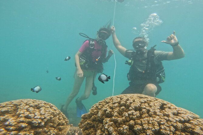 beginner-scuba-experience-with-video-package-in-honolulu