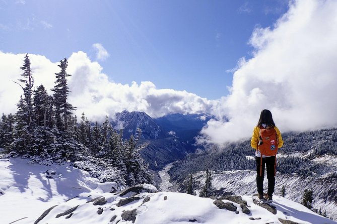 best-of-mount-rainier-national-park-from-seattle-all-inclusive-small-group-tour