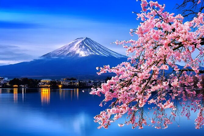beyond-the-ordinary-private-mount-fuji-cherry-blossom-tour