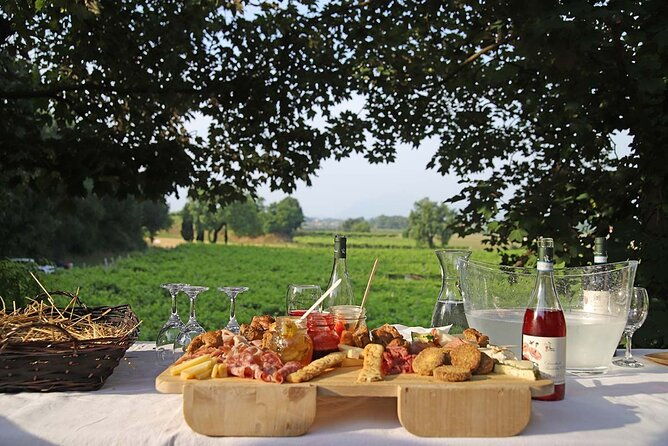 biodynamic-farm-and-natural-wines-tasting-in-lazise