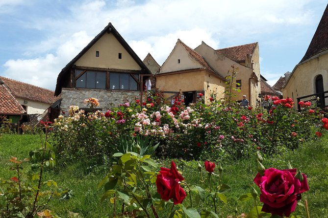 bran-castle-rasnov-fortress-harman-prejmer-fortified-churches-day-tour