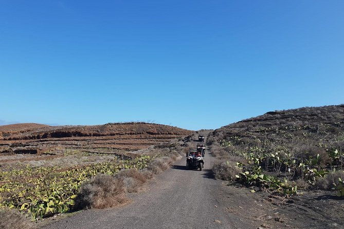 buggy-3h-guided-tour-of-the-north-of-lanzarote