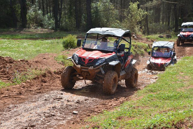 buggy-safari