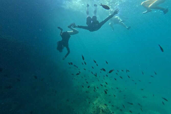 cala-varques-guided-kayak-sea-caves-expedition-snorkeling