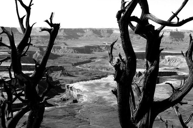 canyonlands-national-park-half-day-tour-from-moab