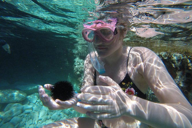 chania-boat-trip-with-guided-snorkeling-tour-sup