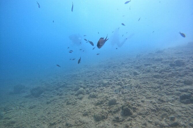 chania-guided-snorkeling-and-boat-excursion