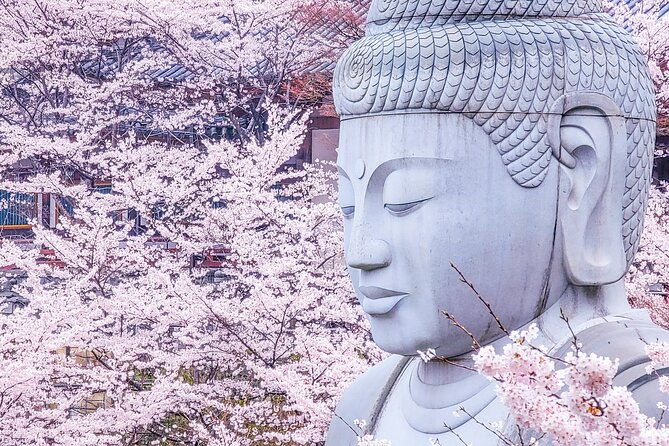 cherry-blossom-buddha-and-mt-yoshino-with-strawberry-picking-tour