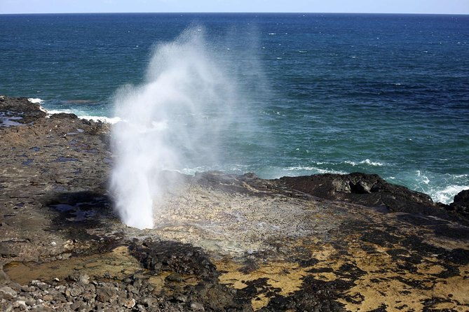 circle-island-tour-with-waimea-waterfall