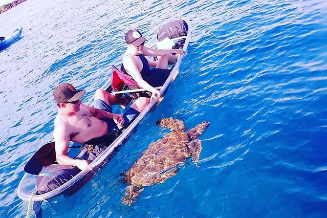 clear-bottom-kayak-and-snorkel-tour-at-turtle-town-makena