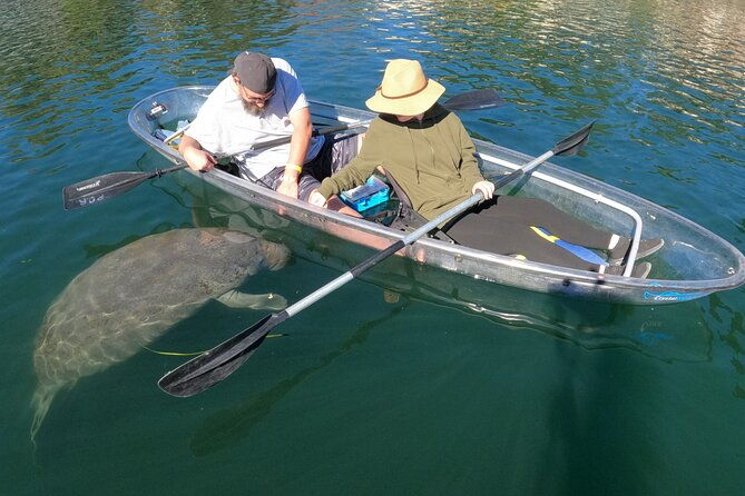 clear-kayak-manatee-ecotour-of-crystal-river