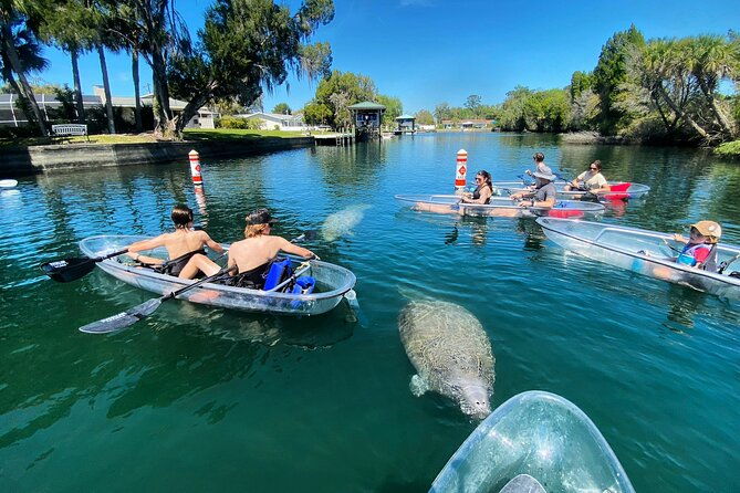clear-kayak-tour-of-crystal-river