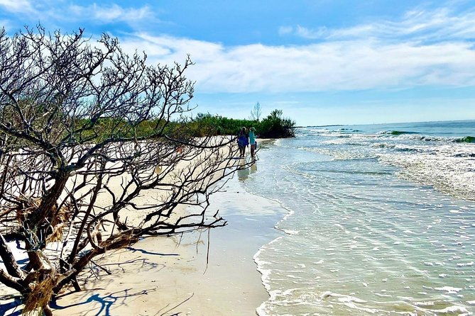 clear-kayak-tour-of-shell-key-preserve-and-tampa-bay-area