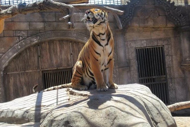 cocodrilo-park-zoo-admission-ticket-in-aguimes