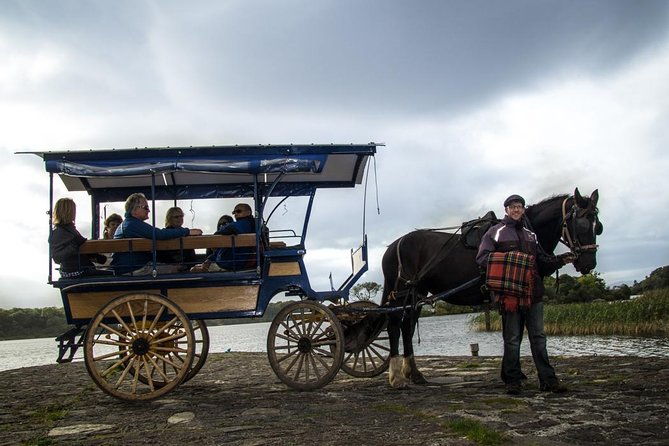 combination-killarney-jaunting-car-tour-and-lakes-of-killarney-cruise