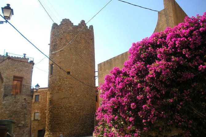 costa-brava-and-medieval-villages-small-group-from-girona