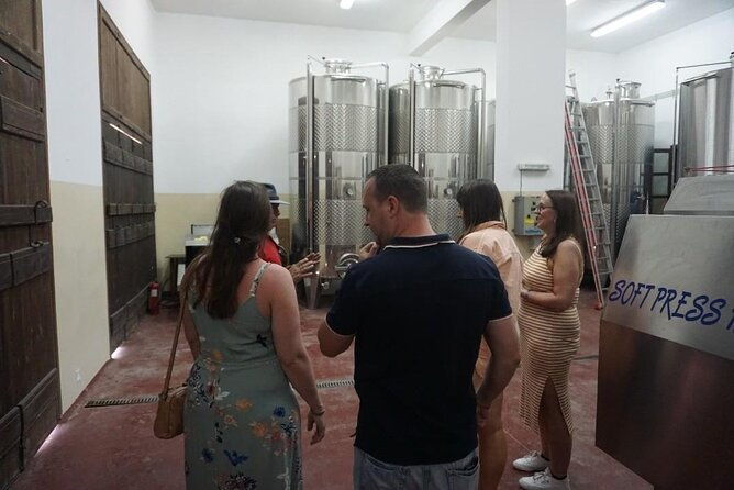 cretan-wines-olive-oil-tour-the-treasures-of-crete