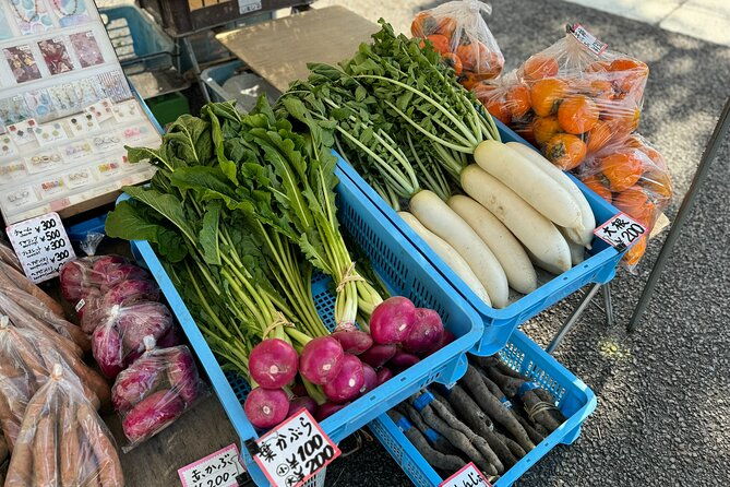 customizable-takayama-private-half-day-walking-tour