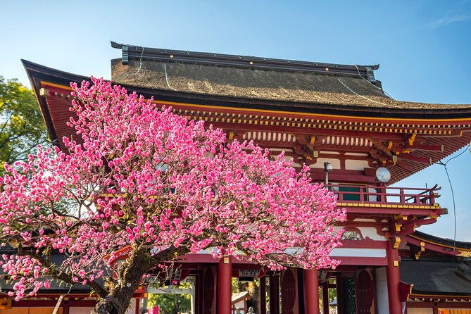 dazaifu-bungo-mori-roundhouse-beppu-yufuin-private-tour