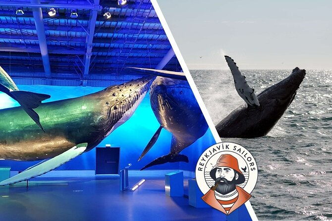 deluxe-whale-watching-and-whales-of-iceland-exhibition-combo-from-reykjavik