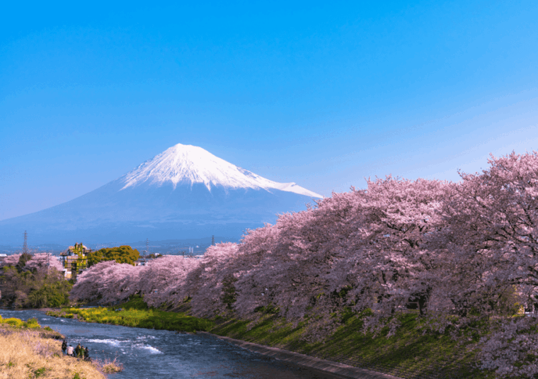 discover-mount-fuji-private-car-van-day-tour-from-tokyo