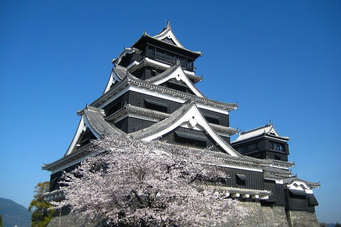 discover-the-wonders-of-kumamoto-tour-ramen-lunch-included