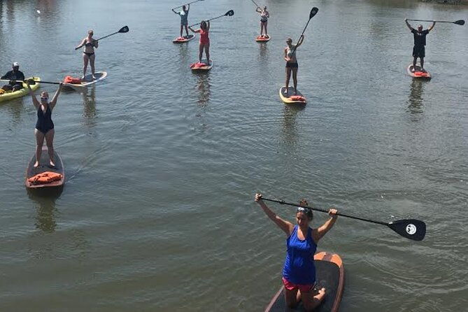 dolphin-manatee-and-seaturtle-sup-adventure-tour-of-st-augustine