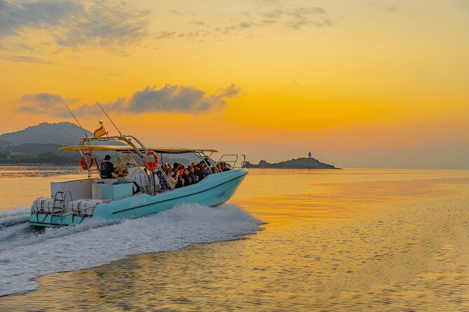 dolphin-watching-by-boat