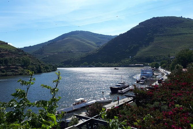 douro-valley-tour-wine-food