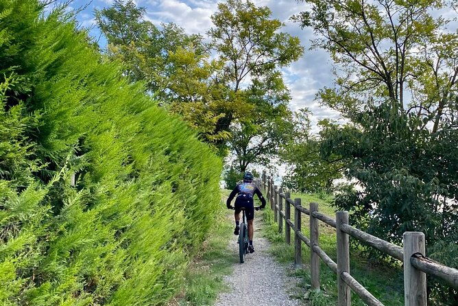 e-bike-tour-and-wine-tasting-from-desenzano-inland