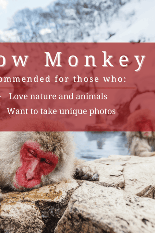 %e3%80%90private%e3%80%91snow-monkey-parkzenkoji-temple-from-nagano-myoko
