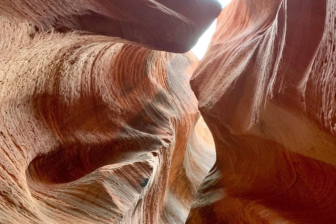 east-zion-4-hour-slot-canyon-canyoneering-utv-tour