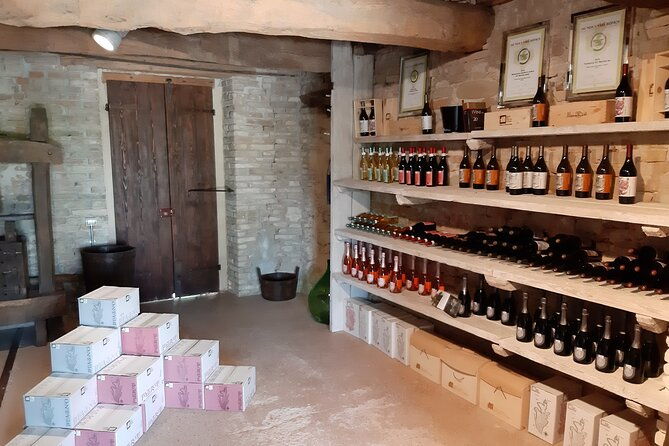 ebike-tour-with-organic-wine-tasting