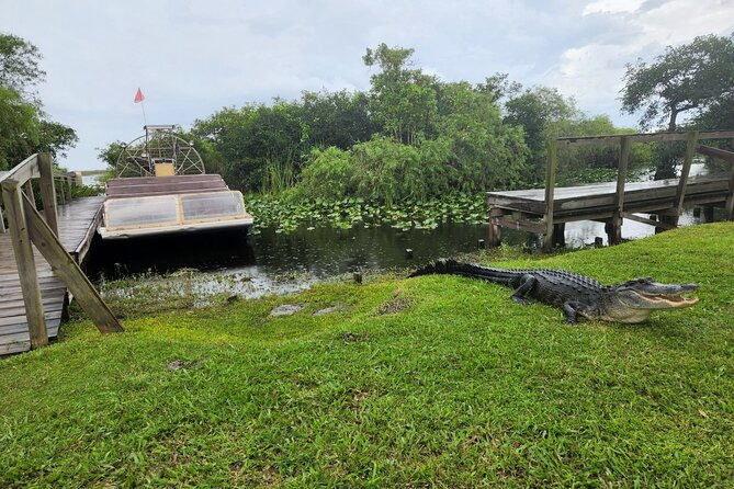 everglades-national-park-biologist-led-adventure-cruise-hike-airboat