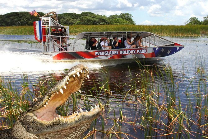 everglades-vip-airboat-tour-with-transportation-included