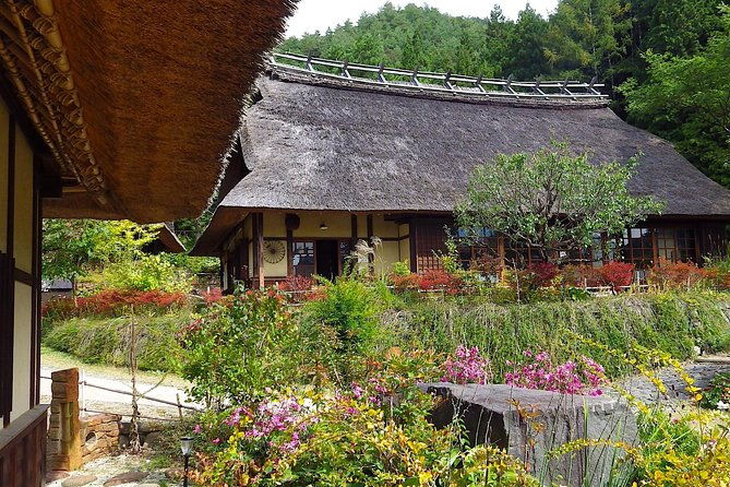 experience-the-stunning-nature-of-mt-fuji-private-tour