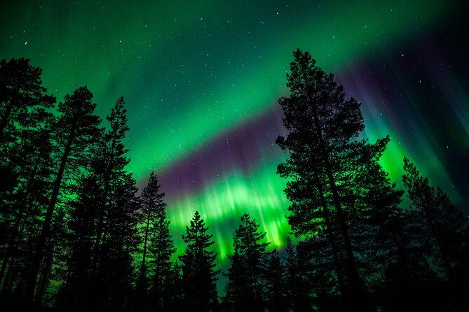 family-friendly-northern-lights-adventure-from-rovaniemi