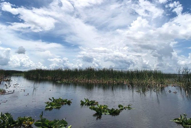 florida-everglades-airboat-tour-and-wild-florida-admission-with-optional-lunch
