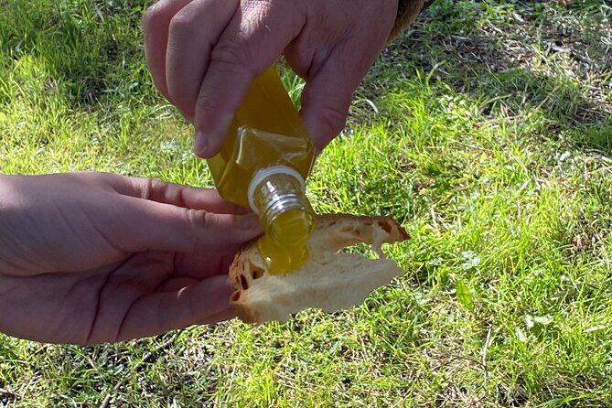 food-and-wine-tour-between-the-patriarchs-olives-and-the-oil-temples