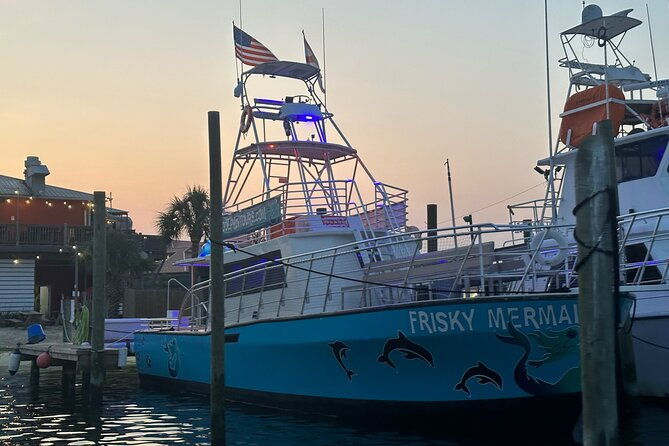 frisky-mermaid-public-dolphin-sightseeing-cruise-up-to-49-pax
