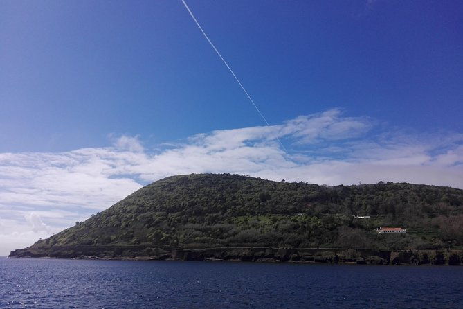 from-angra-terceira-island-full-day-tour-shared-tour