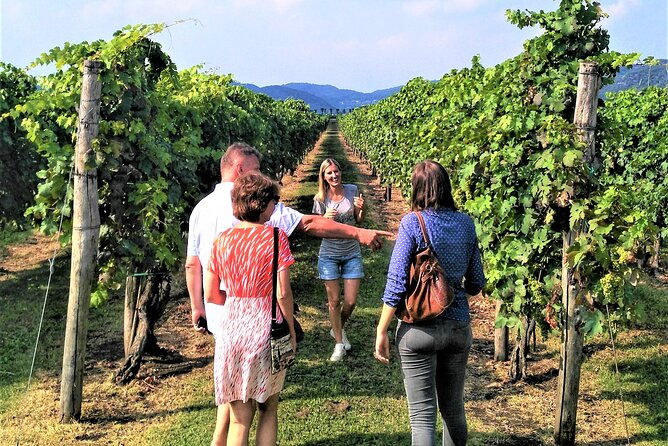from-padua-wine-tour-in-the-euganean-hills