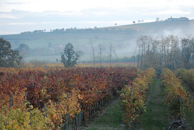 from-parma-parmigianoprosciutto-and-winery-tour-and-tasting
