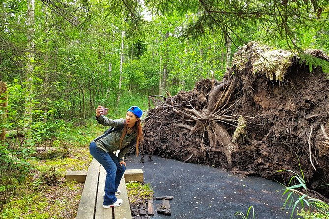 from-riga-best-of-kemeri-national-park-in-one-day