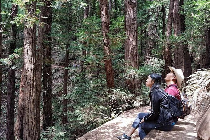 from-san-francisco-guided-tour-to-muir-woods-coastal-redwoods
