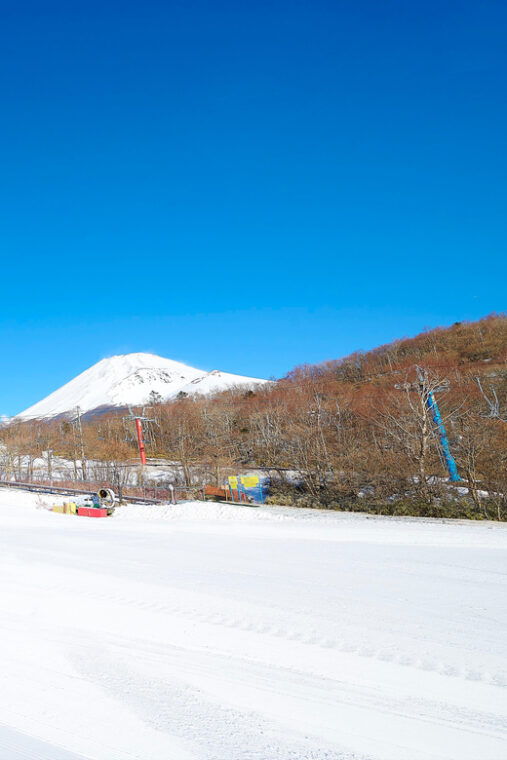 from-tokyo-fujiyama-snow-resort-yeti-day-tour